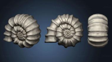 3D model Ammonite (STL)